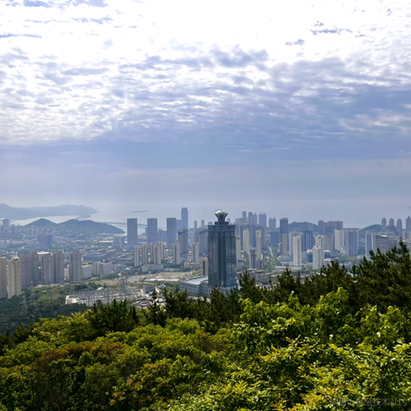 苹果树上都是大苹果于2022-05-29 07:04发布的图片