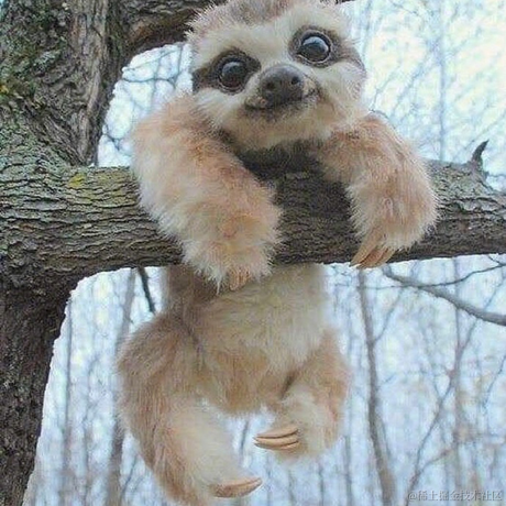 梦之影于2022-10-12 17:16发布的图片