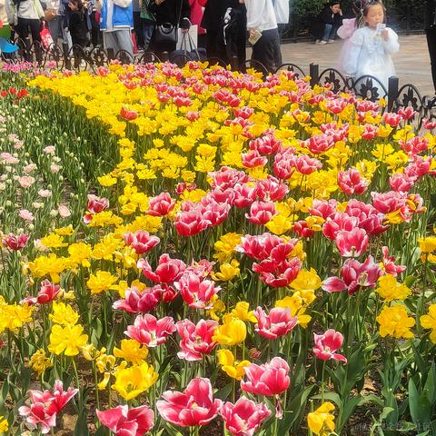 仙童总是玩于2023-04-02 09:22发布的图片