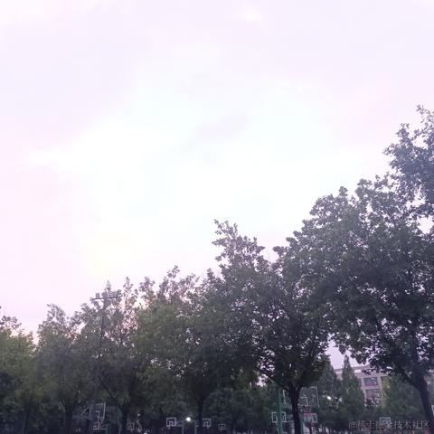 落月染紫于2023-05-21 14:47发布的图片