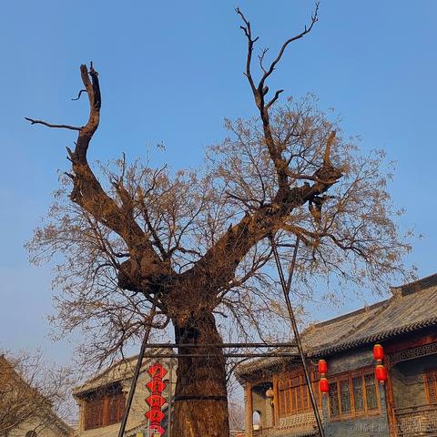 鲁班吐泡泡于2023-01-24 11:14发布的图片