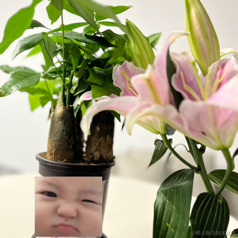 你在想peach于2023-04-07 21:47发布的图片
