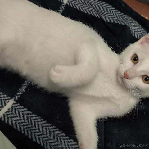 知_足于2023-10-20 15:49发布的图片