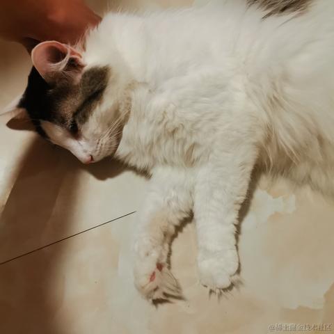 糖瓷碗0312于2023-06-21 23:47发布的图片