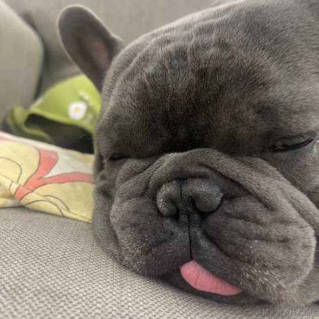 RyanOnCloud于2022-12-31 19:33发布的图片