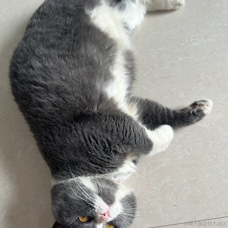 王族蓋于2022-11-18 06:57发布的图片