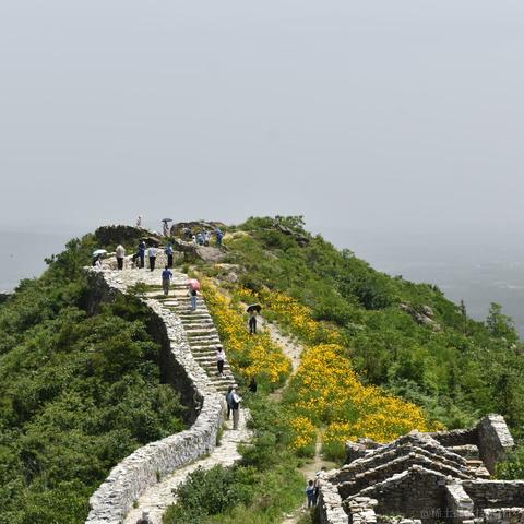 渡人先渡己于2024-05-13 08:53发布的图片