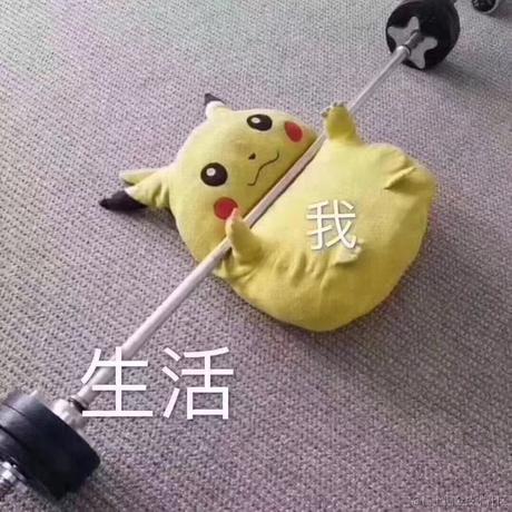 薄荷核桃于2022-07-11 10:13发布的图片