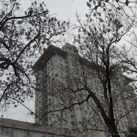 cheongchengwa于2022-04-17 16:01发布的图片