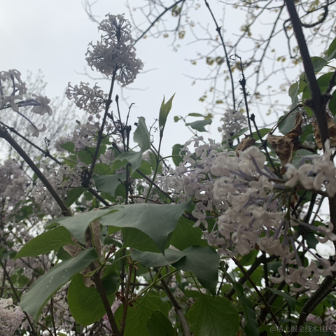 已注销于2021-04-09 12:28发布的图片