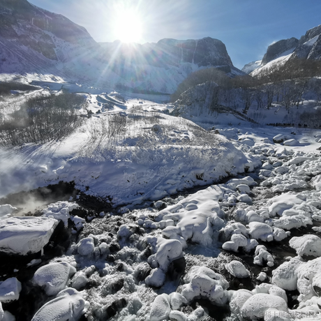 绰号楼长于2023-11-28 18:21发布的图片