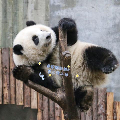 Ricardo_M_Eric于2023-05-21 20:47发布的图片