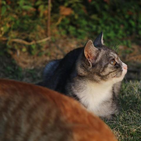 Coca_Cola于2022-12-02 20:30发布的图片