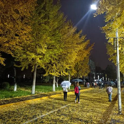 cheongchengwa于2022-04-21 19:53发布的图片
