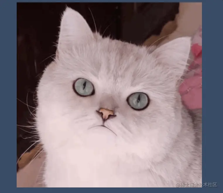 Aug-12-2022 11-27-30.gif