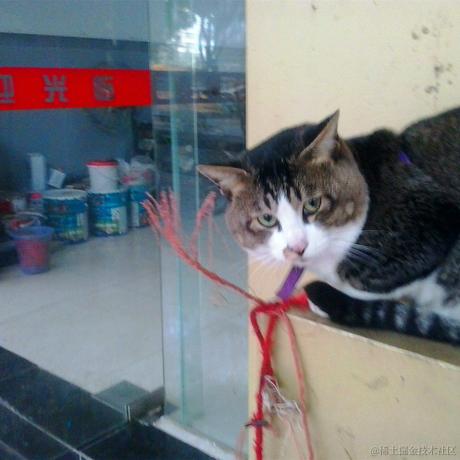 向往地方于2022-12-16 22:15发布的图片