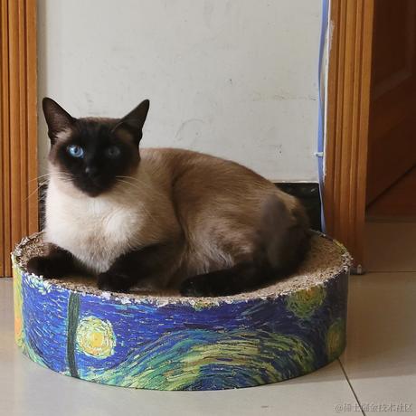 Hypocrite于2023-03-23 21:14发布的图片