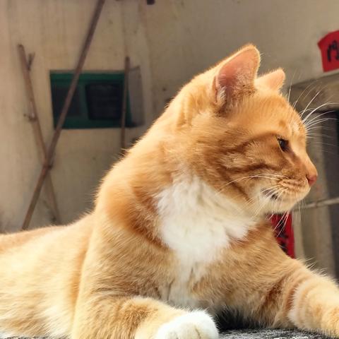 欣琳有乃宝捏于2022-12-01 22:10发布的图片