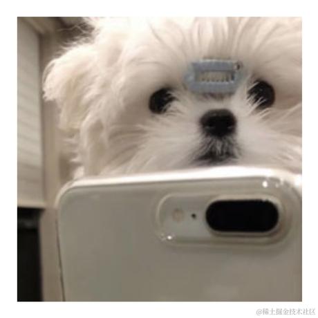 抖音开放平台于2022-11-04 17:36发布的图片