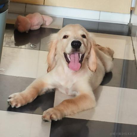 zzqqq于2023-08-05 09:18发布的图片