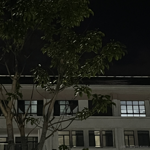 秋秋11于2023-04-28 10:34发布的图片