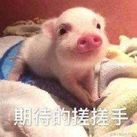 林土豆于2020-10-13 13:11发布的图片