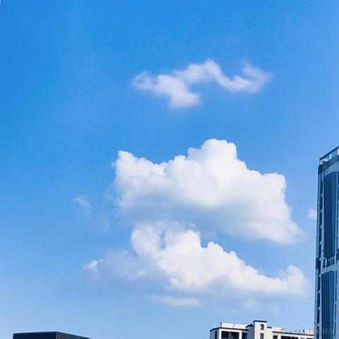 SouthRain于2020-08-01 16:55发布的图片