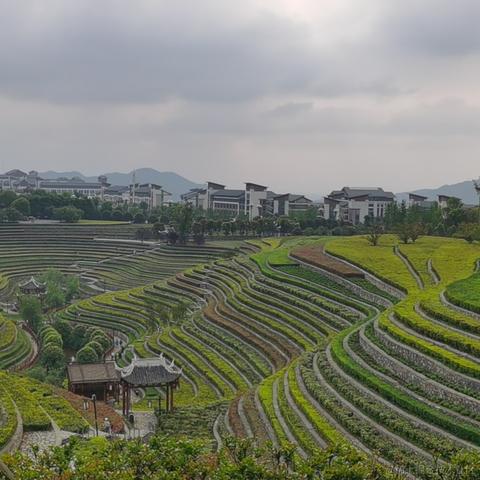 已注销于2021-04-26 19:04发布的图片