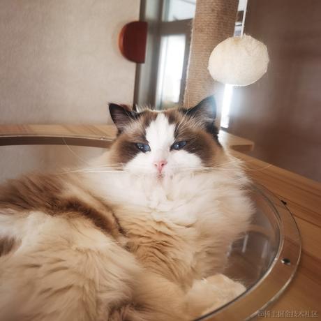 Firmament于2022-12-07 14:33发布的图片