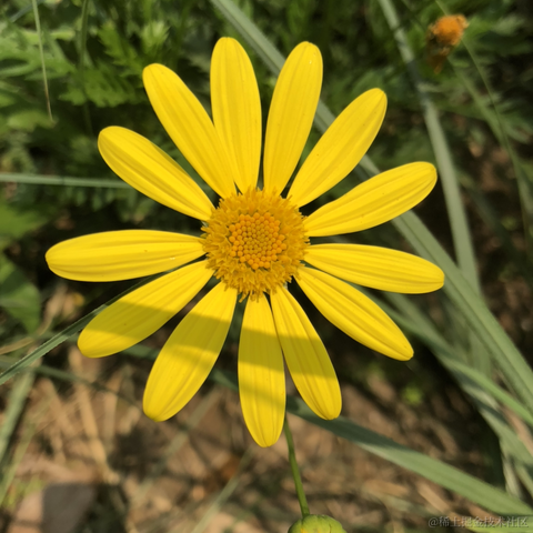 紫樱于2020-09-30 16:09发布的图片