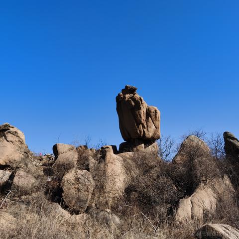 你好我就要起飞了于2021-09-14 10:45发布的图片