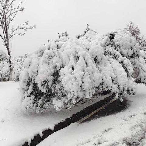 你的名字o_O于2024-01-22 01:08发布的图片