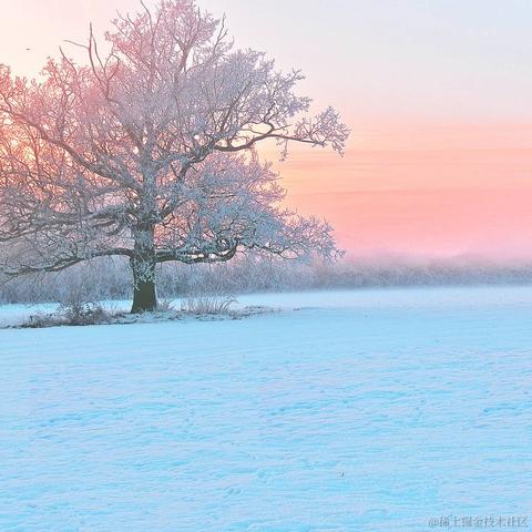 树洞robot于2020-10-28 10:25发布的图片