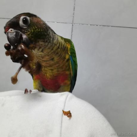 冬至8500于2022-11-16 08:19发布的图片