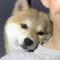 用户5942225190250于2022-10-30 00:45发布的图片