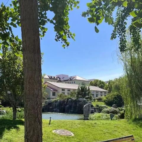 清欢N于2023-04-08 19:33发布的图片