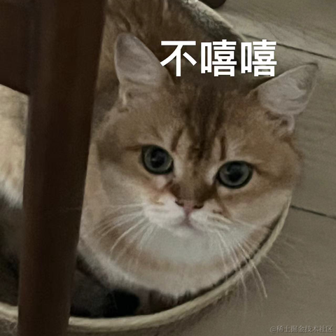 睡懒觉的浩How于2024-03-30 10:33发布的图片
