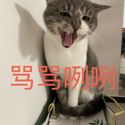 踌躇的豌杂面于2022-02-16 17:36发布的图片