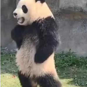 我不是有名字吗嘛于2023-06-27 10:12发布的图片