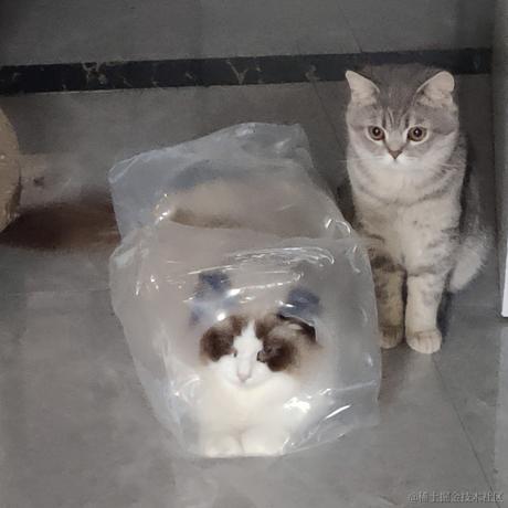 First于2023-05-22 07:40发布的图片