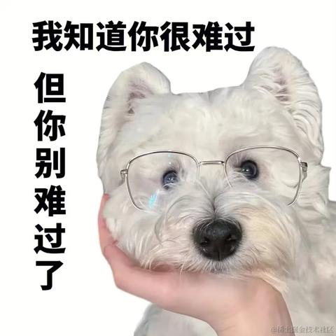 理塘丁真小马珍珠于2022-11-21 12:54发布的图片