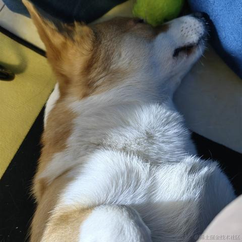 Buda于2022-11-30 00:03发布的图片