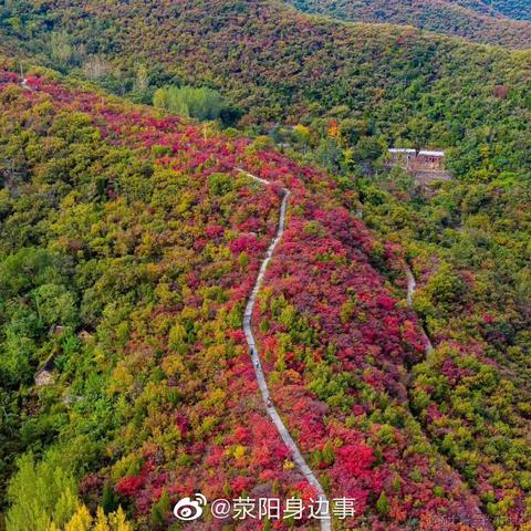 爱吃荆芥于2020-10-30 09:54发布的图片