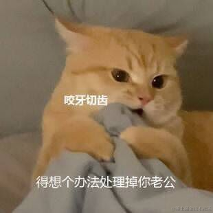 于五五于2021-12-14 14:30发布的图片