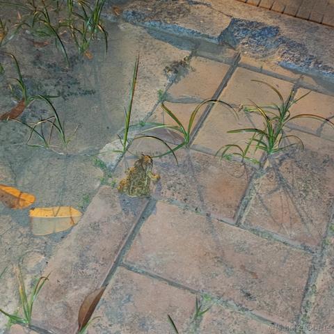 贝拉今天打什么于2022-11-14 16:28发布的图片