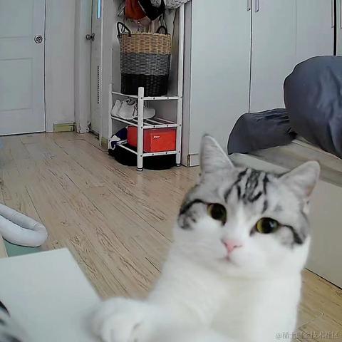 程序猿秃头之路于2021-12-20 22:04发布的图片