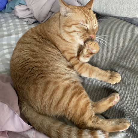 avavaava于2022-11-12 01:45发布的图片