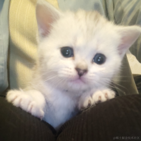 orangecat于2023-05-23 10:36发布的图片