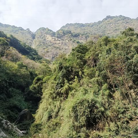 一个魂魂于2022-11-13 12:07发布的图片