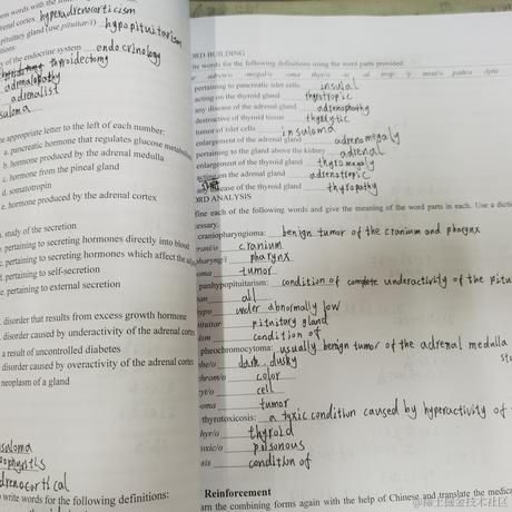 晚晚太阳系第一可爱于2022-11-17 08:12发布的图片